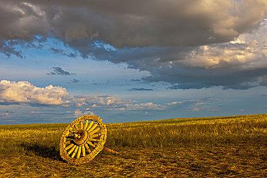 《三国志8重制版》郭嘉和张辽角色介绍 曹操得力干将